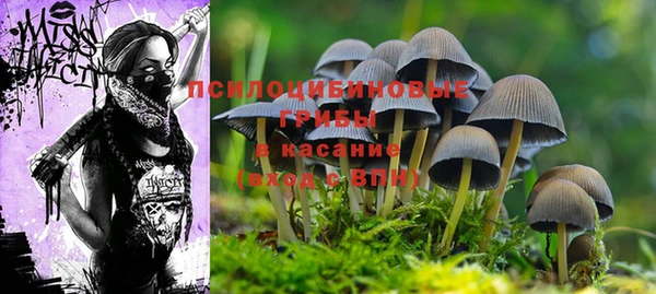 трава Алексин